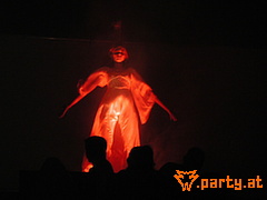 Bild 218
