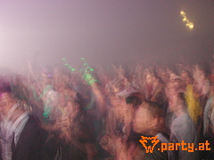Bild 401