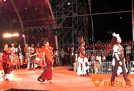 Bild 98
