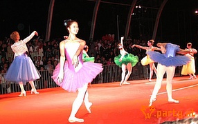 Bild 221