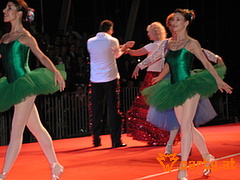 Bild 238