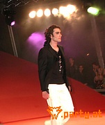 Bild 294