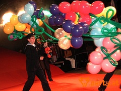 Bild 377