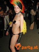 Bild 565