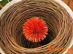 Bild 34