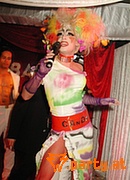 Bild 244