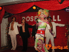 Bild 256