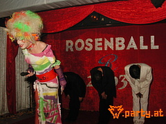 Bild 257