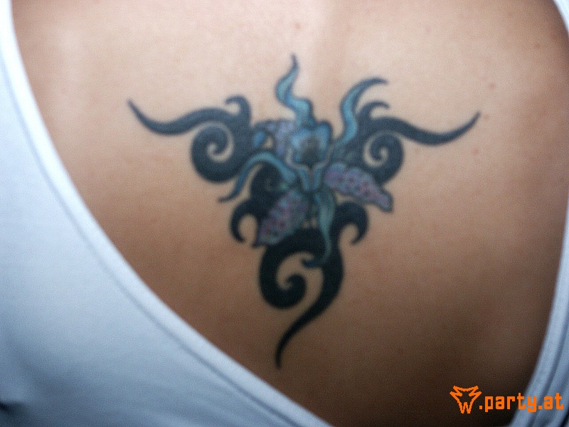 Bild 20