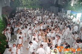 Bild 297