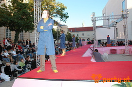 Bild 50