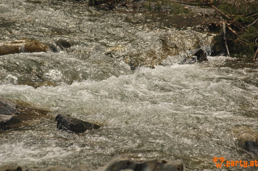Bild 14