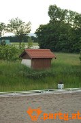 Bild 36