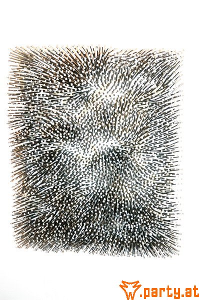 Bild 17