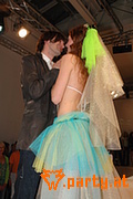 Bild 241