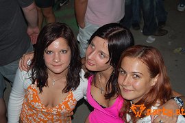 Bild 147