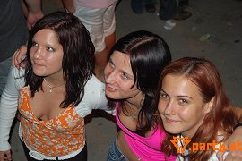 Bild 148