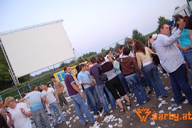 Bild 253