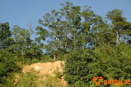 Bild 14
