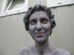 Bild 210