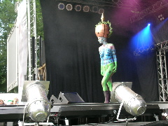 Bild 216