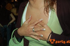 Bild 251