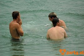 Bild 173