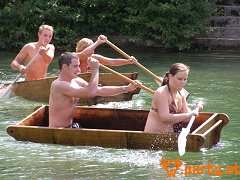 Bild 121
