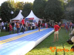 Bild 196
