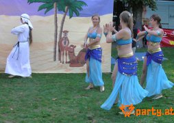 Bild 204