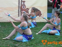 Bild 207