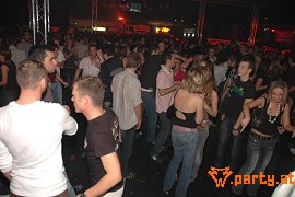 Bild 221