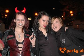 Bild 151