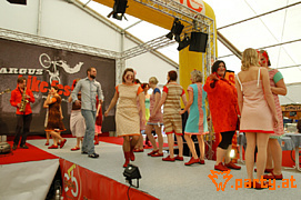 Bild 85