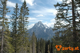 Bild 20