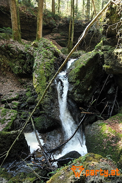 Bild 16