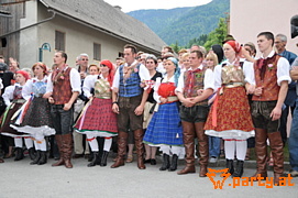 Bild 231