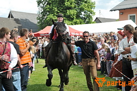 Bild 63