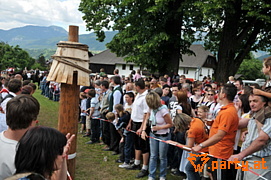 Bild 77