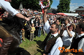 Bild 155