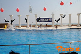 Bild 202