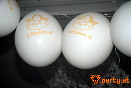Bild 21