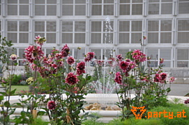 Bild 16