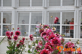 Bild 18