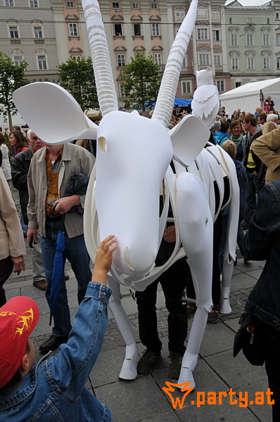 Bild 16