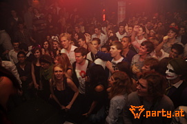 Bild 33