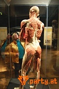 Bild 44