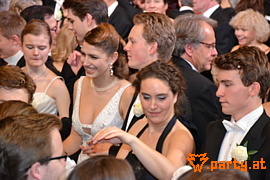 Bild 205