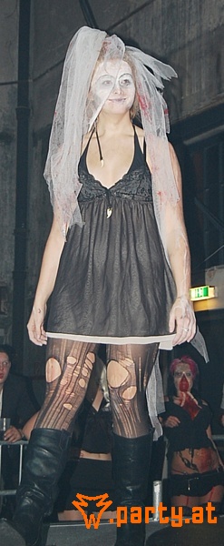 Bild 287