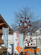 Bild 79